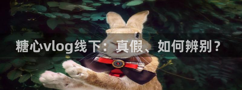 糖心小欣和糖心小蕾谁厉害：糖心vlog线下：真假、如何辨别？