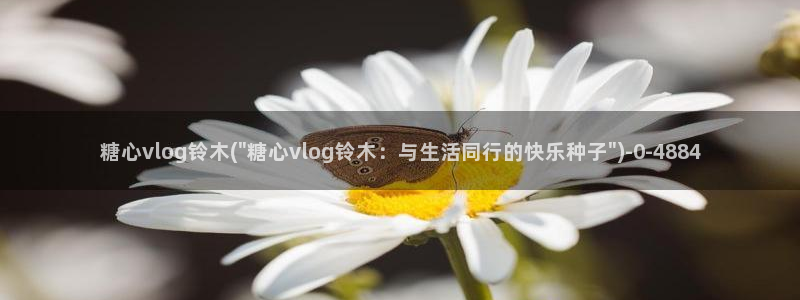 糖心vuog