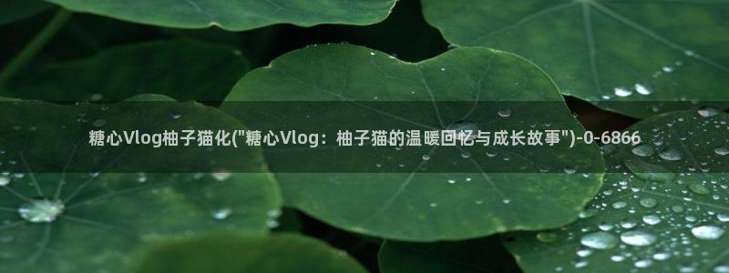糖心四大家：糖心Vlog柚子猫化(\