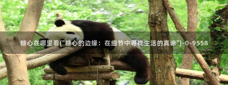 糖心vlog免费进入：糖心在哪里看(\