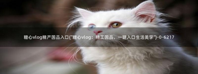 糖心vlog是什么意思：糖心vlog精产国品入口(\