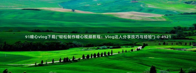 糖心vlog网页版免费观看