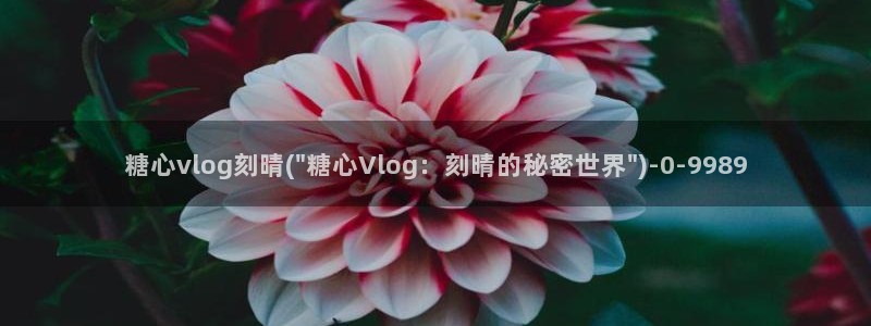 糖心olvg：糖心vlog刻晴(\