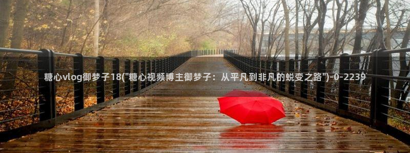 91麻豆糖心vlog出品淑怡