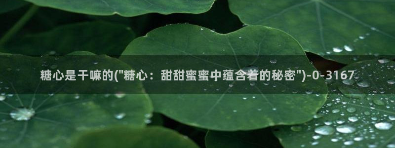糖心vlog中国