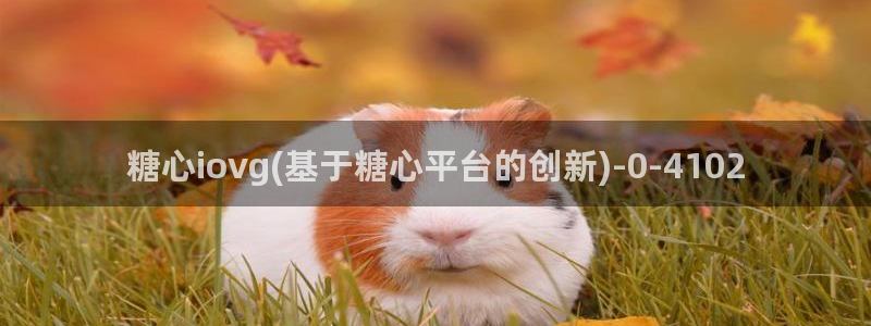 糖心vlog日常