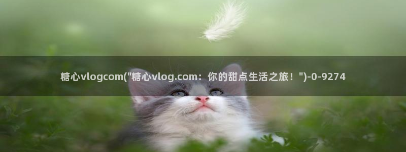 糖心vlog视频网站