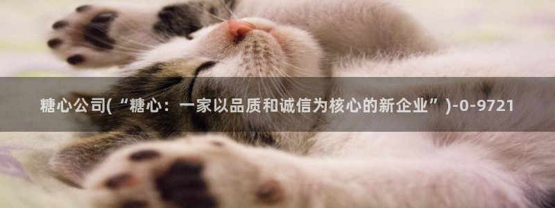糖心vlog下