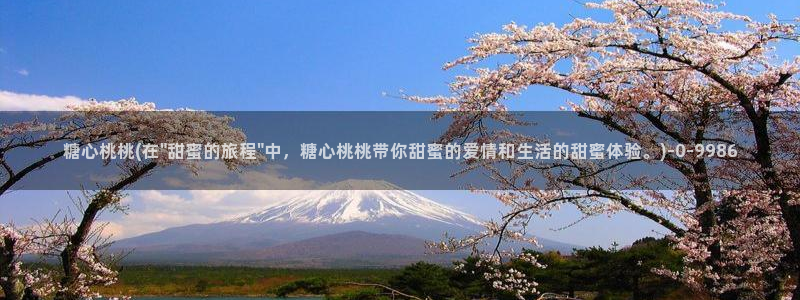 糖心vlog一区