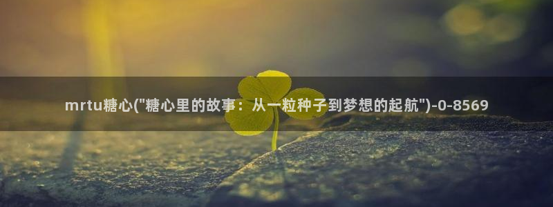 糖心vlog破解下载
